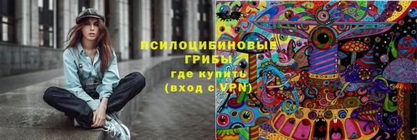 герыч Мегион