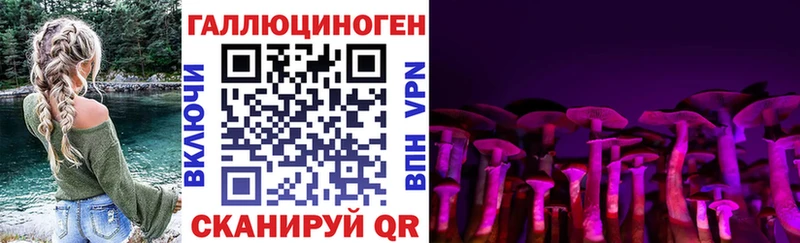 Купить закладки  Красноуральск  Псилоцибиновые грибы Cubensis 